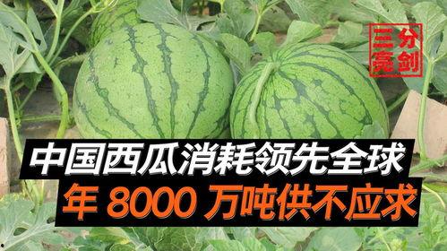 安徽网红八卦吃瓜是真的吗,吃瓜真相大起底